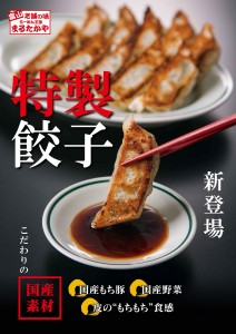 まるたかや特製餃子